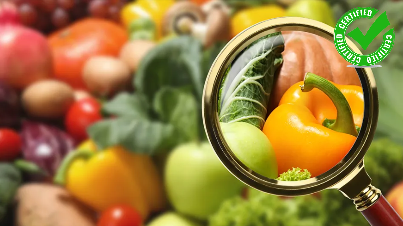 Food Safety
