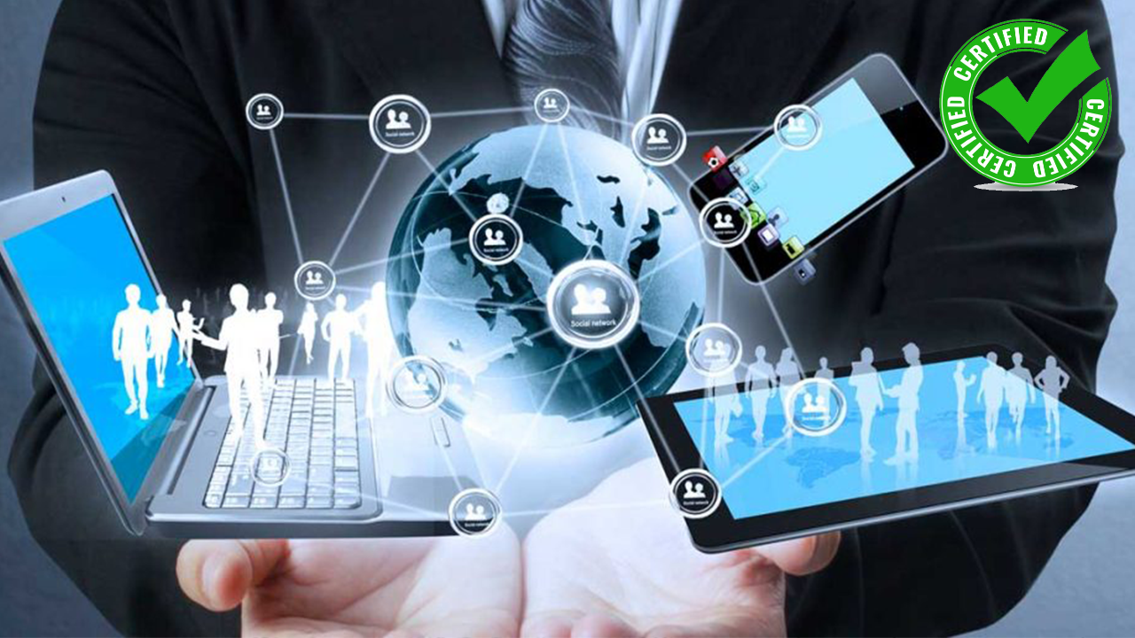 Information Technology & Services