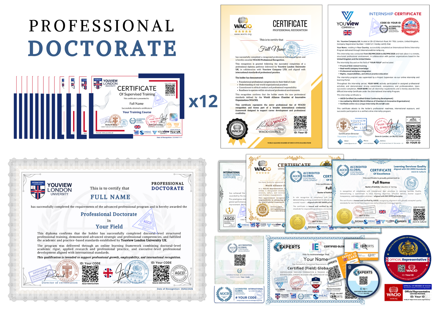 Youview Premium Professional & Executive Recognition Pathway