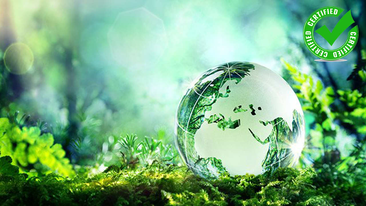 Sustainability