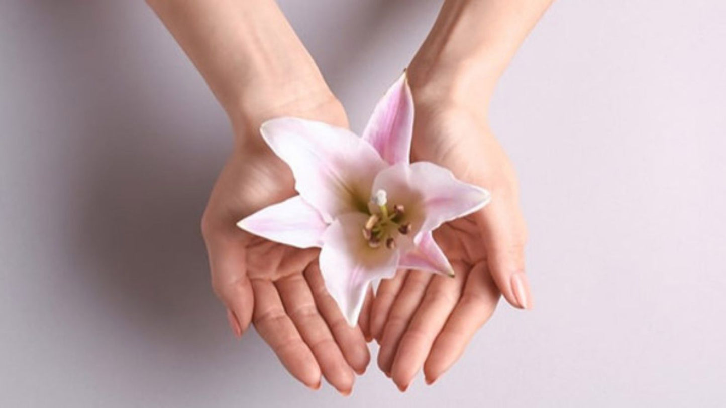 Aesthetic and Cosmetic Gynecology - Certified Course