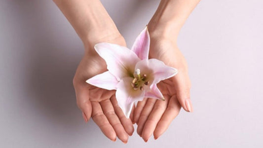 Aesthetic and Cosmetic Gynecology - Certified Course