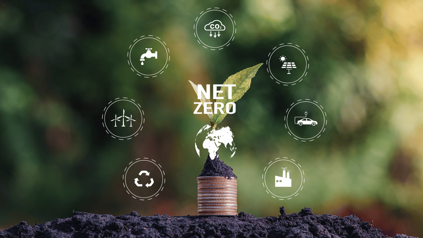 Carbon Management and Net-Zero Strategy - Certified Course