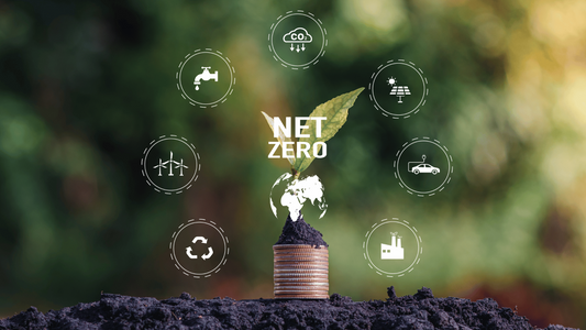 Carbon Management and Net-Zero Strategy - Certified Course