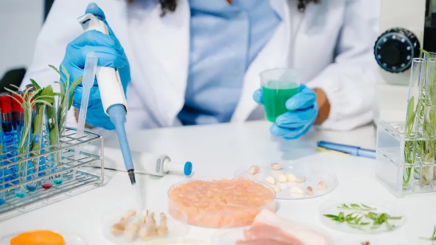 Food Biotechnology - Certified Course