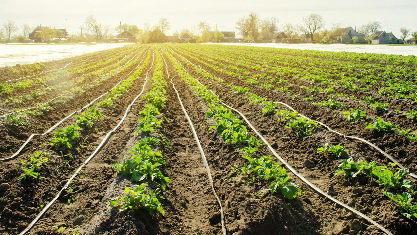 Horticulture, Farming & Conservation