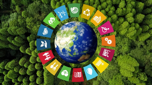 International Development - Certified Course