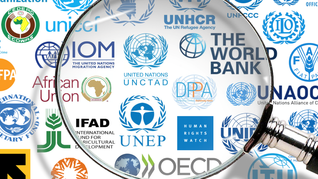 International Organizations Management - Certified Course