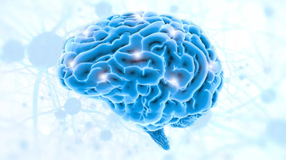 Neurology - Certified Course
